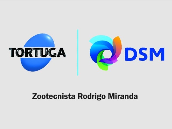 DSM/TORTUGA
