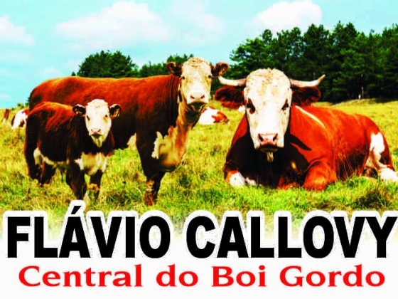 Flávio Callovy Negócios Rurais