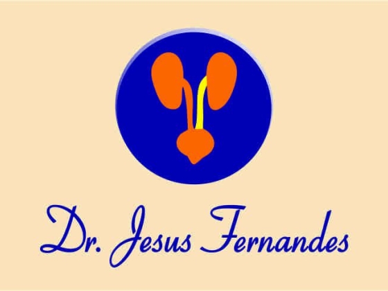 Jesus José Mendonça Fernandes
