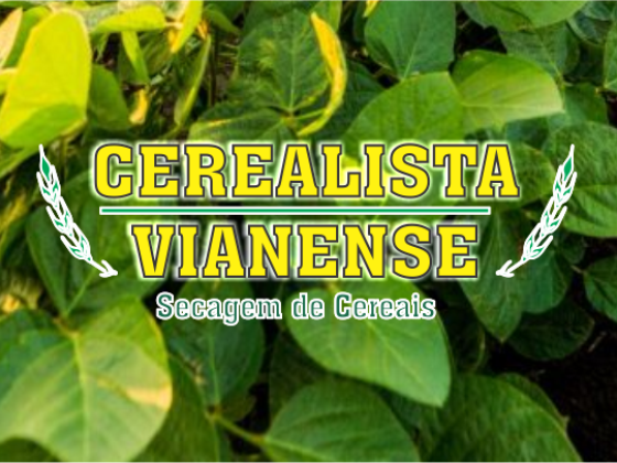 Cerealista Vianense